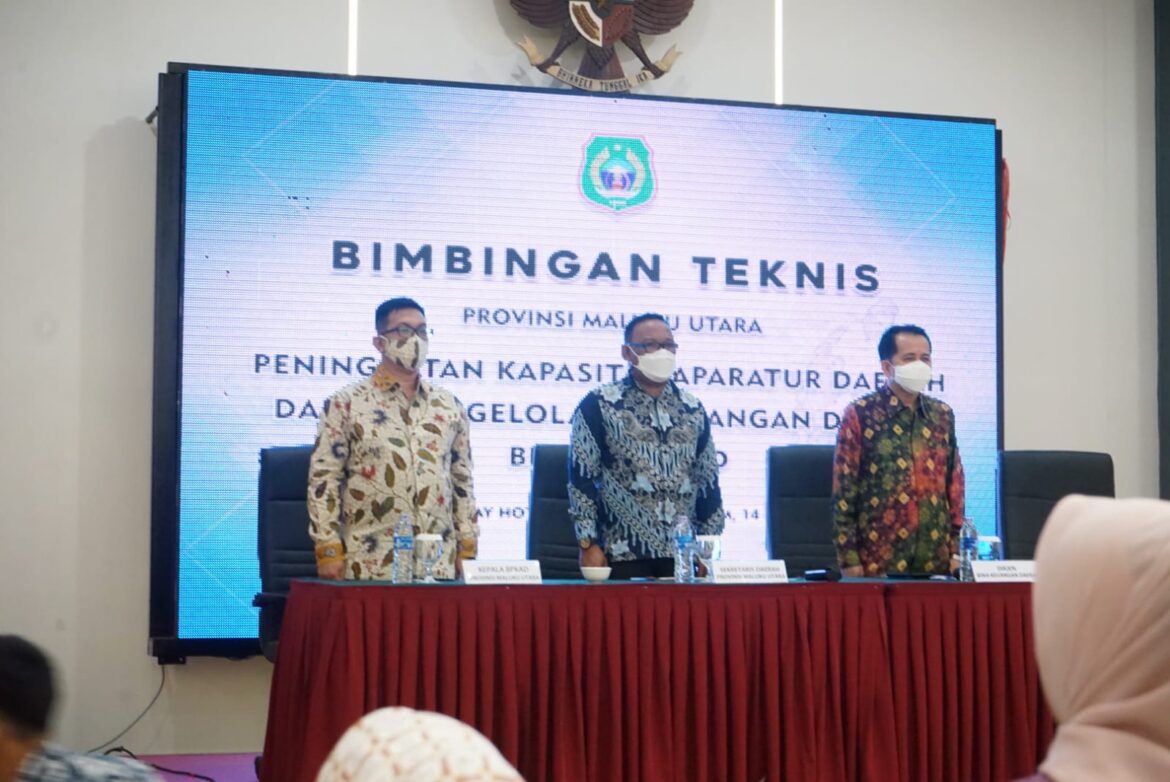 Dirjen Bina Keuda Kemendagri Jelaskan Manfaat SIPD