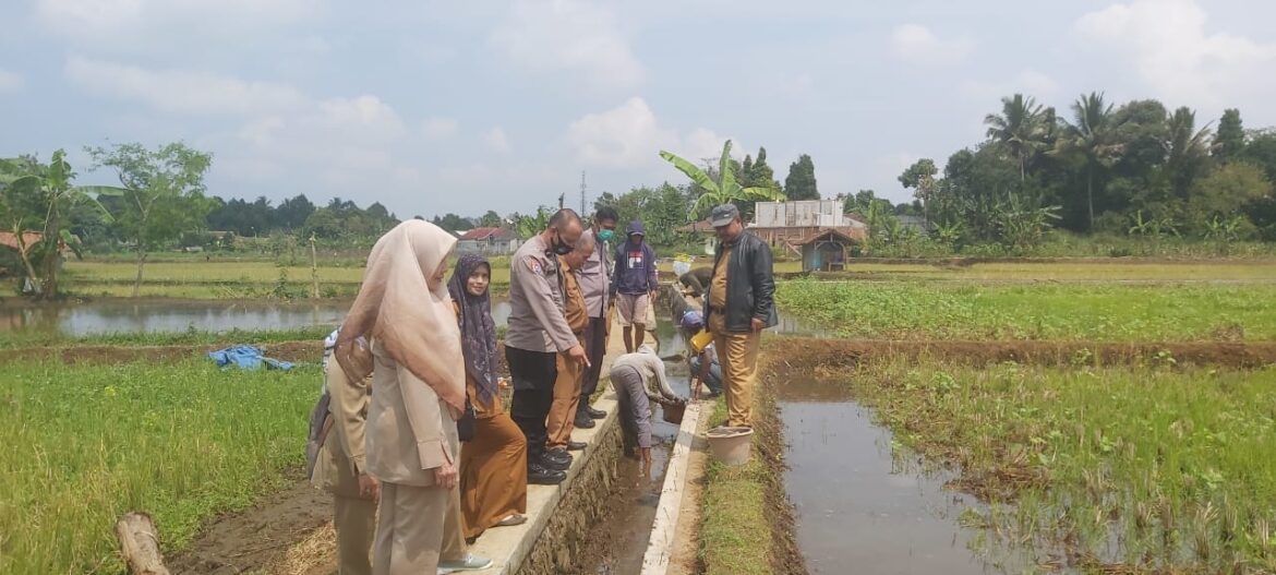 Kanit Binmas beserta Bhabinkamtibmas Monitoring Pembangunan Irigasi Pertanian di Desa Mangkalaya