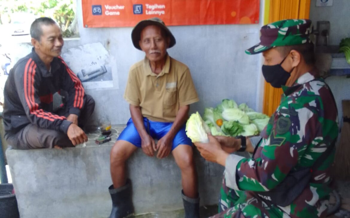 Babinsa Kebonmanggu Sertu Triyatno Koramil 0607-09/Cisaat Komsos dengan Petani Sayur