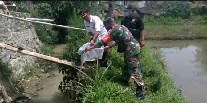 Motivasi Tingkatkan Usaha, Babinsa Kebonmanggu Gelar Komsos Dengan Pemuda Pembudidaya Sidat Dan Belut