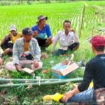 Penuh Keakraban, Babinsa Gunungguruh Koramil 0607-09/Cisaat, Komsos Dengan Kelompok Tani Desa Gunungguruh