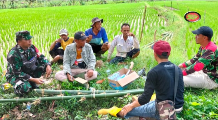 Penuh Keakraban, Babinsa Gunungguruh Koramil 0607-09/Cisaat, Komsos Dengan Kelompok Tani Desa Gunungguruh