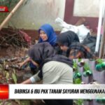 Komsos Babinsa Gunungjaya dengan Ibu-ibu PKK Tanam Sayuran Menggunakan Media Botol Bekas