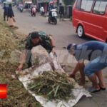 Babinsa Kadudampit ajak Masyarakat Kerja Bakti Bersihkan Jalan dari rumput dan ranting agar tampak bersih dan rapi