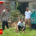 Antisipasi Longsor, Babinsa Gunungjaya Koramil 0607-09/Cisaat Bersama Warga Lakukan Penanaman Pohon