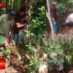 Mitigasi Bencana Longsor, Babinsa Sukaresmi Tanam Pohon di Lokasi rawan Longsor