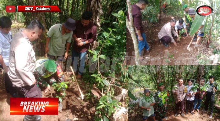 Mitigasi Bencana Longsor, Babinsa Sukaresmi Tanam Pohon di Lokasi rawan Longsor