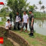 Babinsa Kutasirna Bersama Kadus Babakan Jampang Tinjau Kolam Ikan Warga Binaan