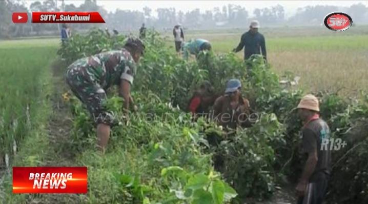 Tingkatkan Hasil Pertanian, Babinsa Sukamaju Bantu Petani Bersihkan Saluran Irigasi