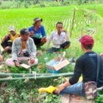 Komsos Babinsa Gunungguruh Dan Petani Bahas Upaya Peningkatan Hasil Pertanian