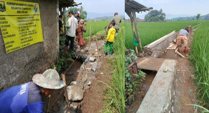 Salurkan DD Earmarked Tahap 1 Ketapang, Pemdes Cikujang Gunungguruh Bangun Irigasi Tersier Kutamaneh