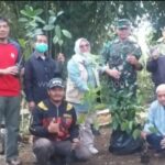 Dukung Penghijauan Di Wilayah Binaan, Babinsa Sukamaju Koramil 0607-09/Cisaat Bersama Warga Tanam Pohon