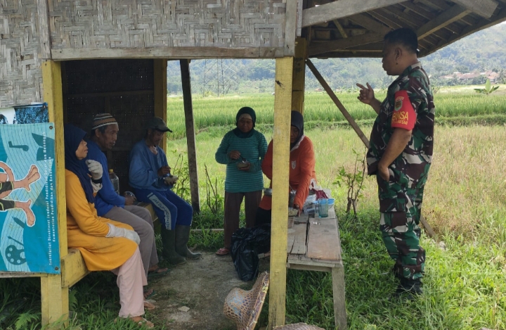 Komsos Babinsa Sirnaresmi dan Petani di Pinggir Sawah Guna Mendengarkan Keluhan dan Aspirasi Warga