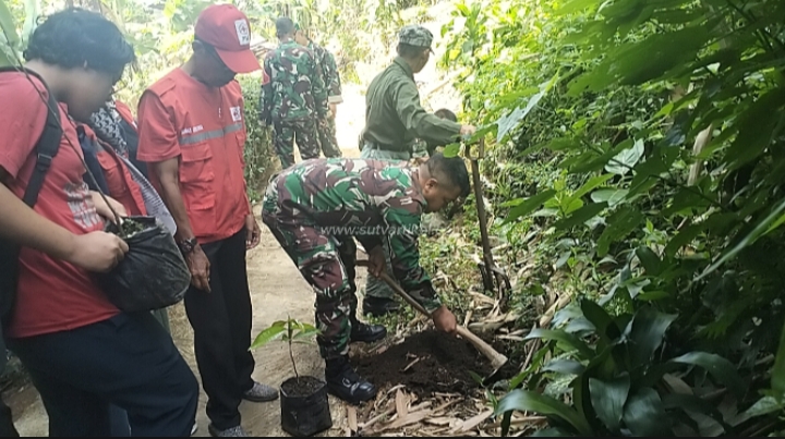 Koramil 0607-04/Kota Sukabumi Utara Tanam Pohon Antisipasi Dampak Bencana Longsor