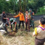 Laksanakan Program Pembinaan Lingkungan Hidup, Koramil 0607-09/Cisaat Tanam Pohon Keras